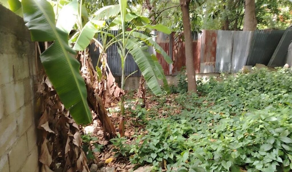 Comunitarios de Las Matas de Farfán denuncian el abandono del CAFI Hermanas Mirabal, alertando sobre riesgos de salud por contaminación y la urgente necesidad de su rescate.